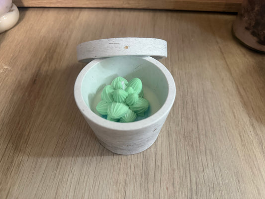 Cactus Candle – Handgemachte Kerze mit Deckel