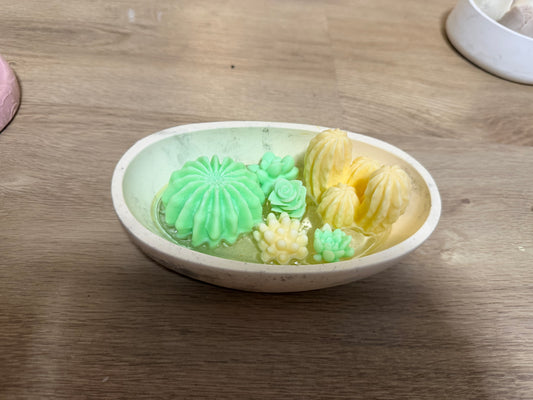 Green Cactus Bowl – Handgemachte Sukkulentenkerze aus Sojawachs
