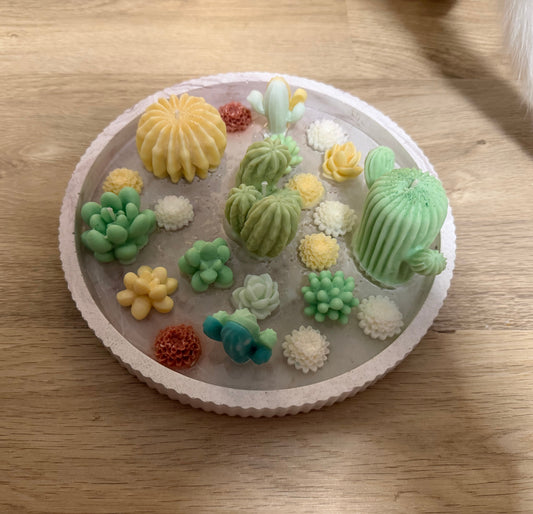 Cactus Garden – Handgemachte Sukkulentenkerze aus Sojawachs